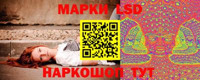 тгк Будённовск