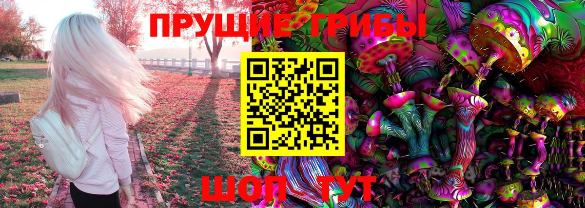 Псилоцибиновые грибы Psilocybine cubensis  Вход с VPN  Карабулак 